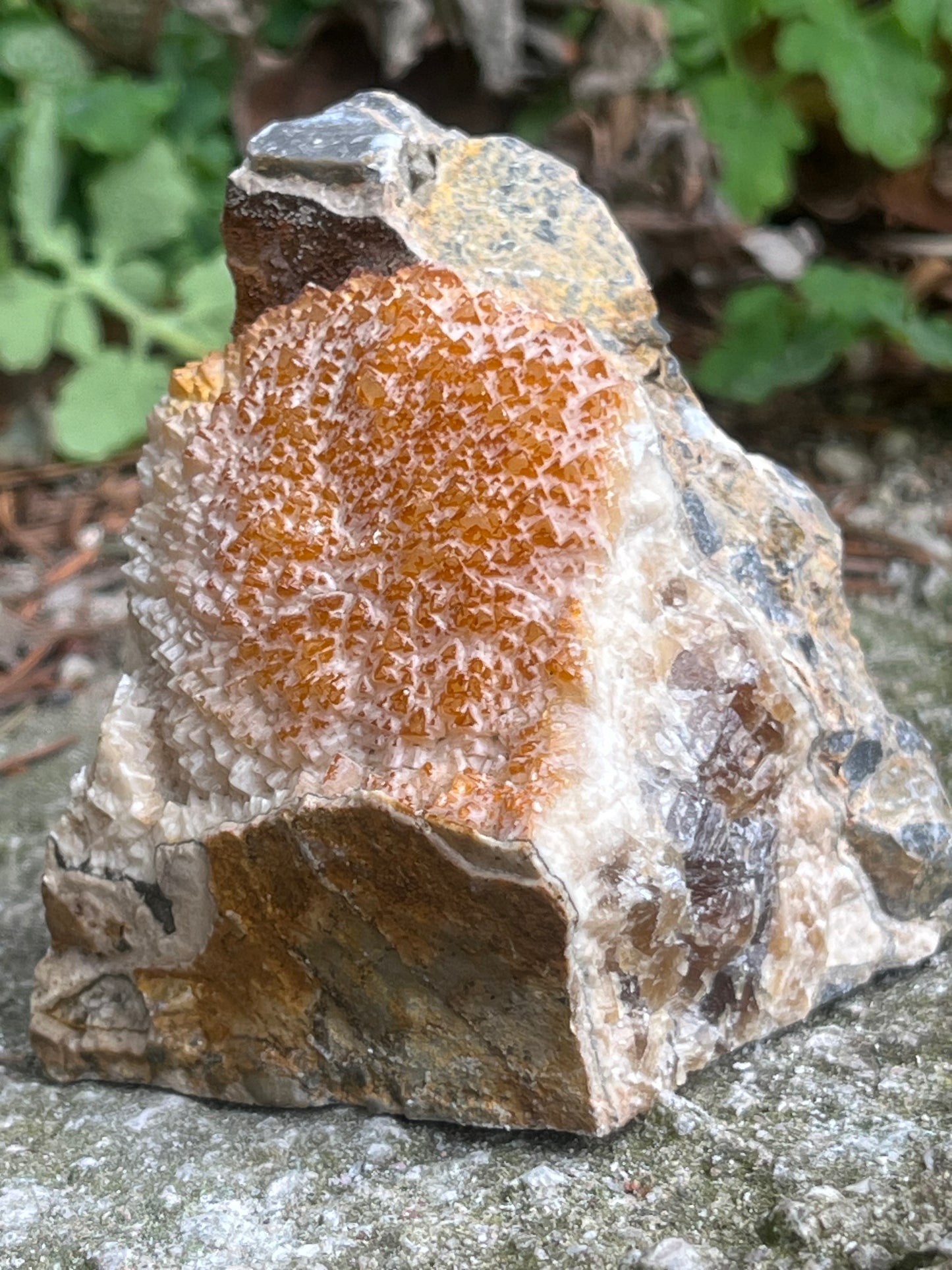 Sárga Dolomit