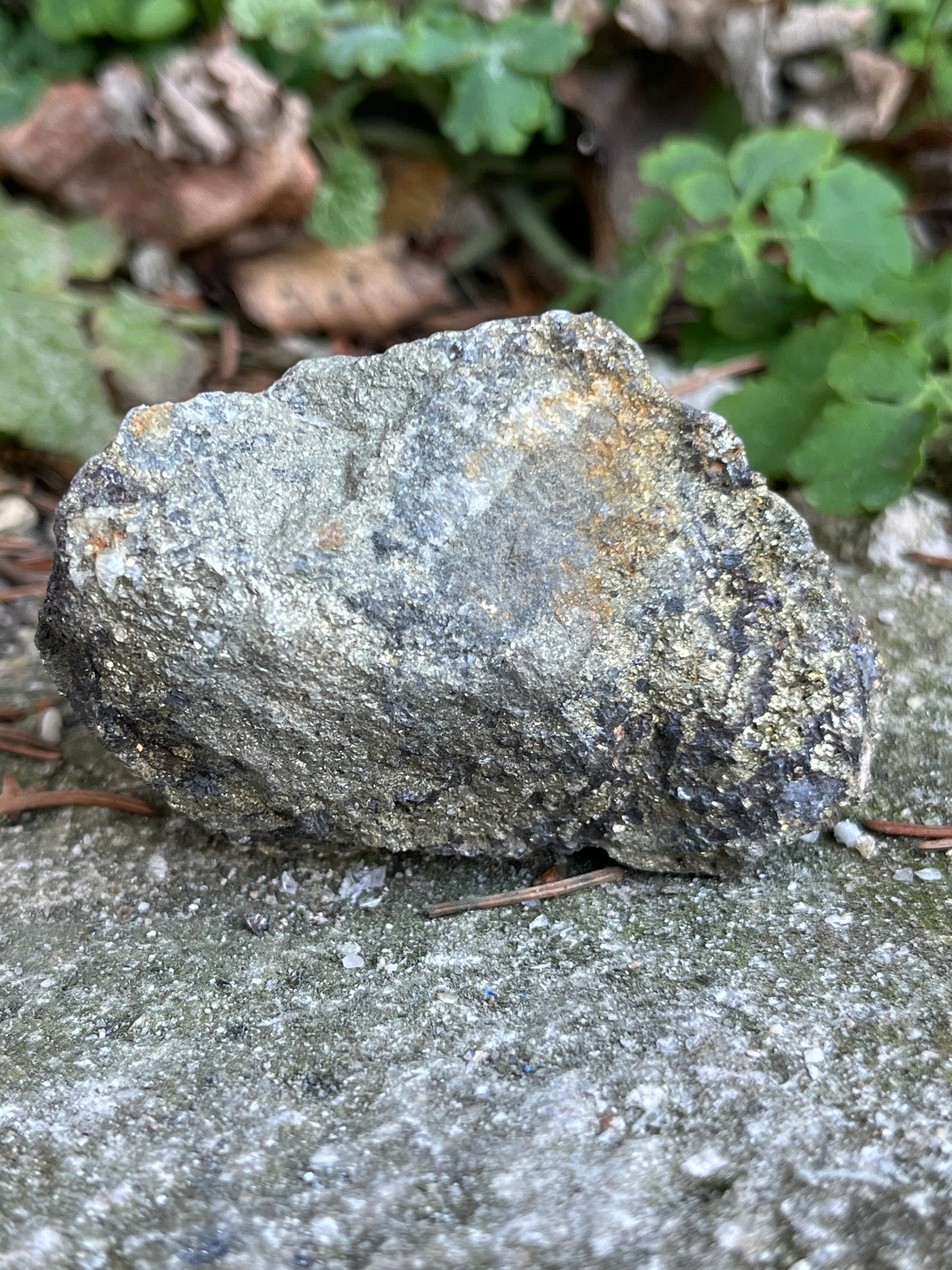 Kalkopirit Pikkelyes Arany