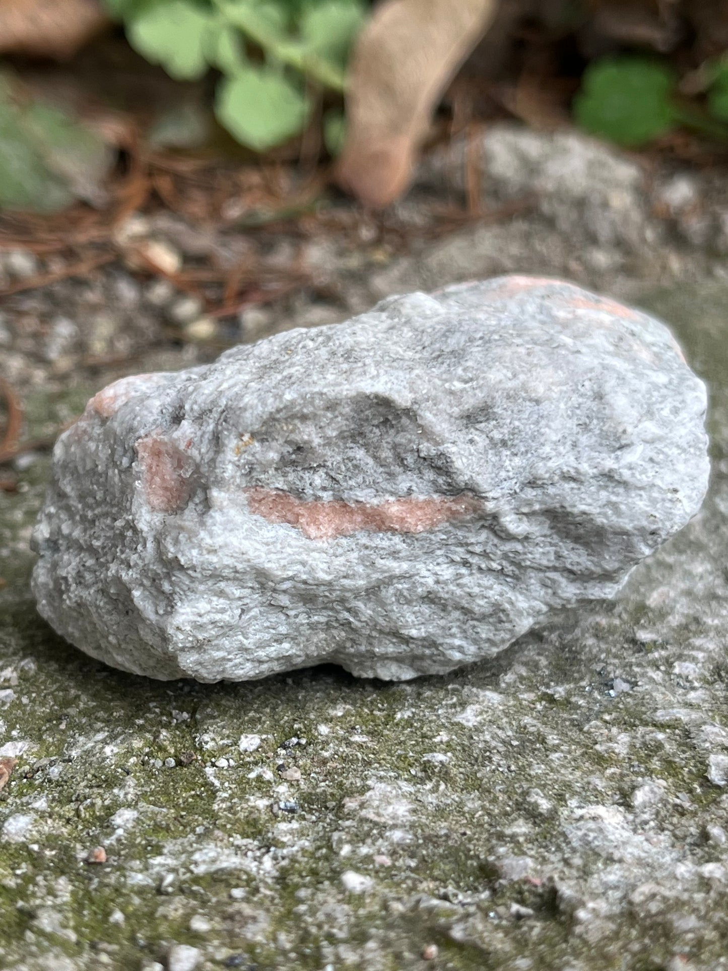Alpesi Barack Krém Színű Gipsz