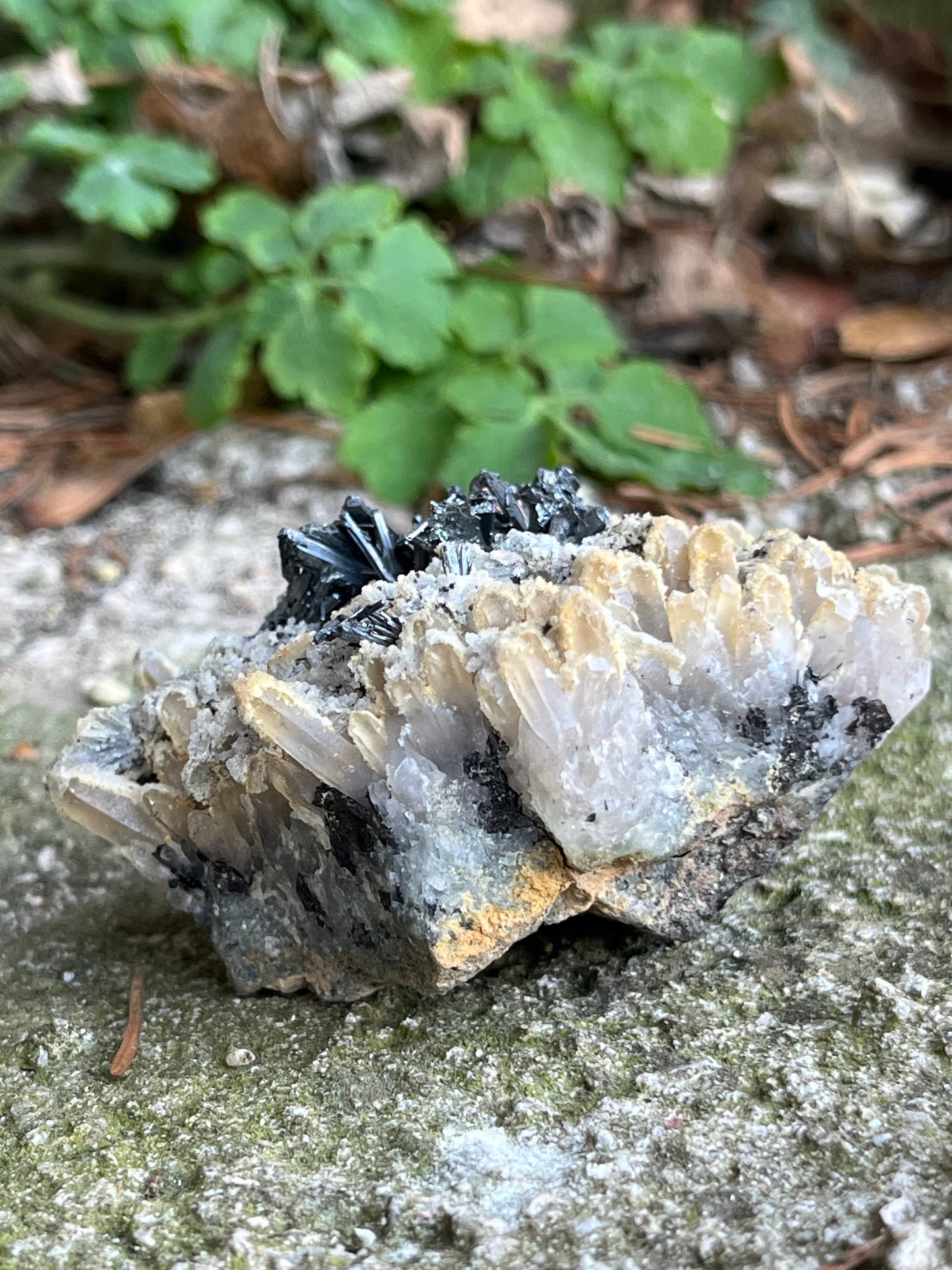 Antimonit Kvarc Pirit Dolomit