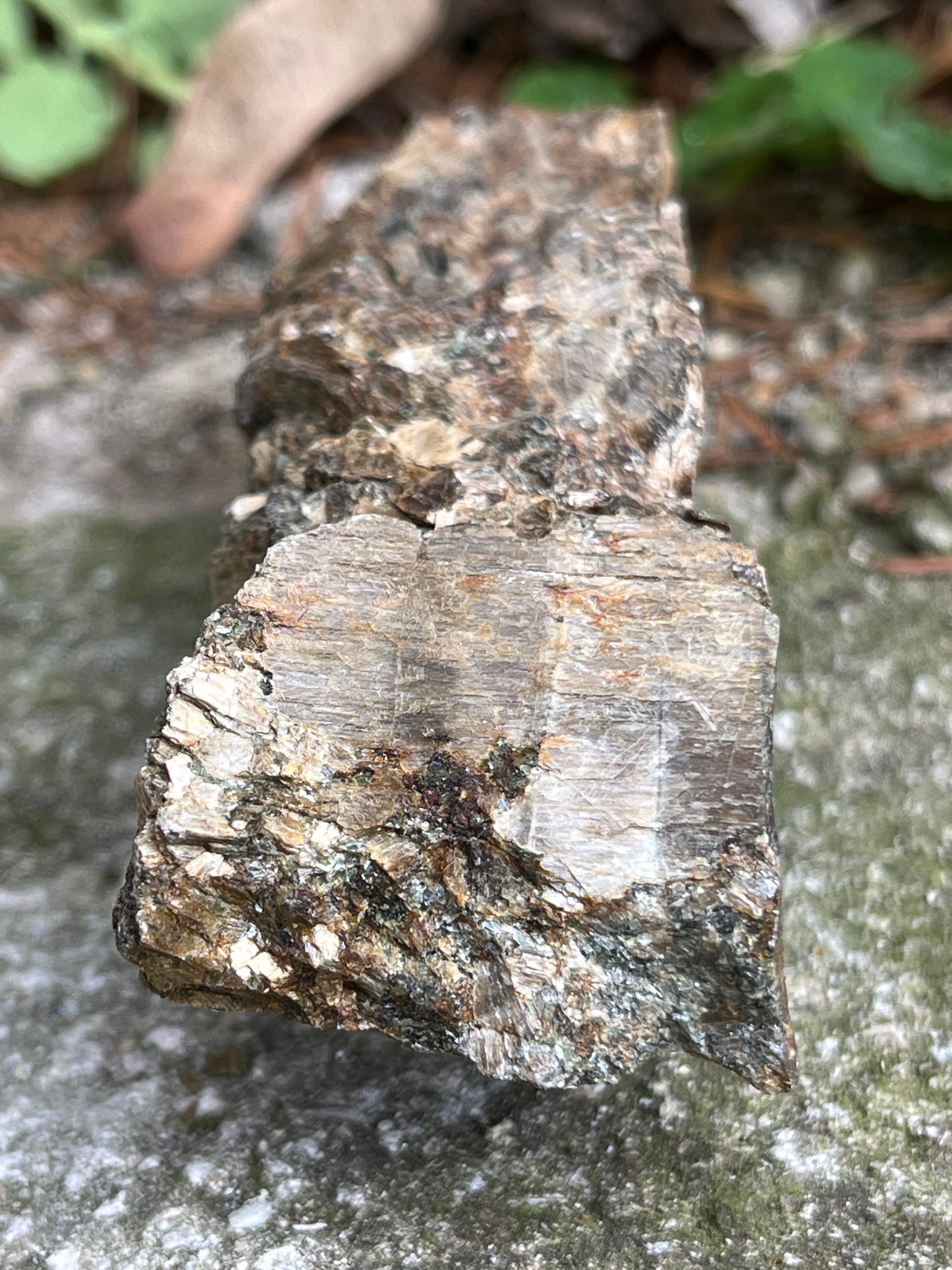 Bronzit