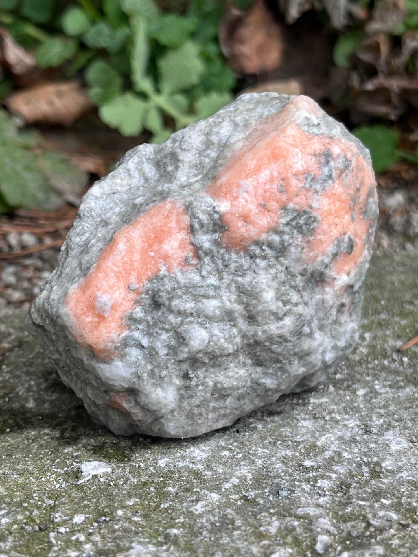 Alpesi Barack Krém Színű Gipsz