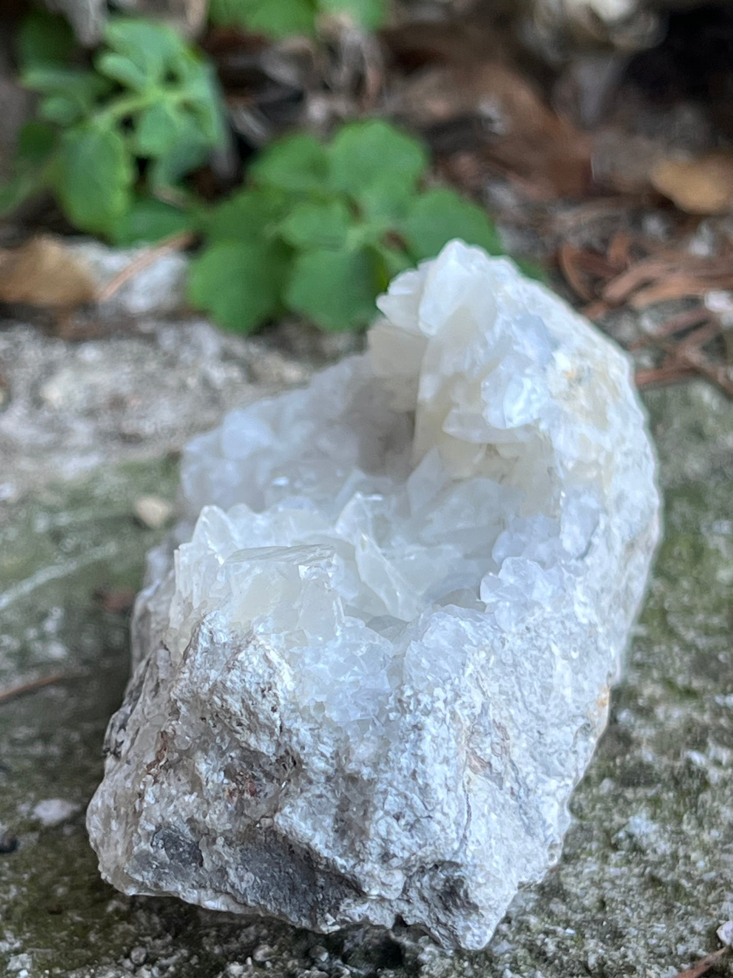 Gipszkristály Dolomit Ágyon