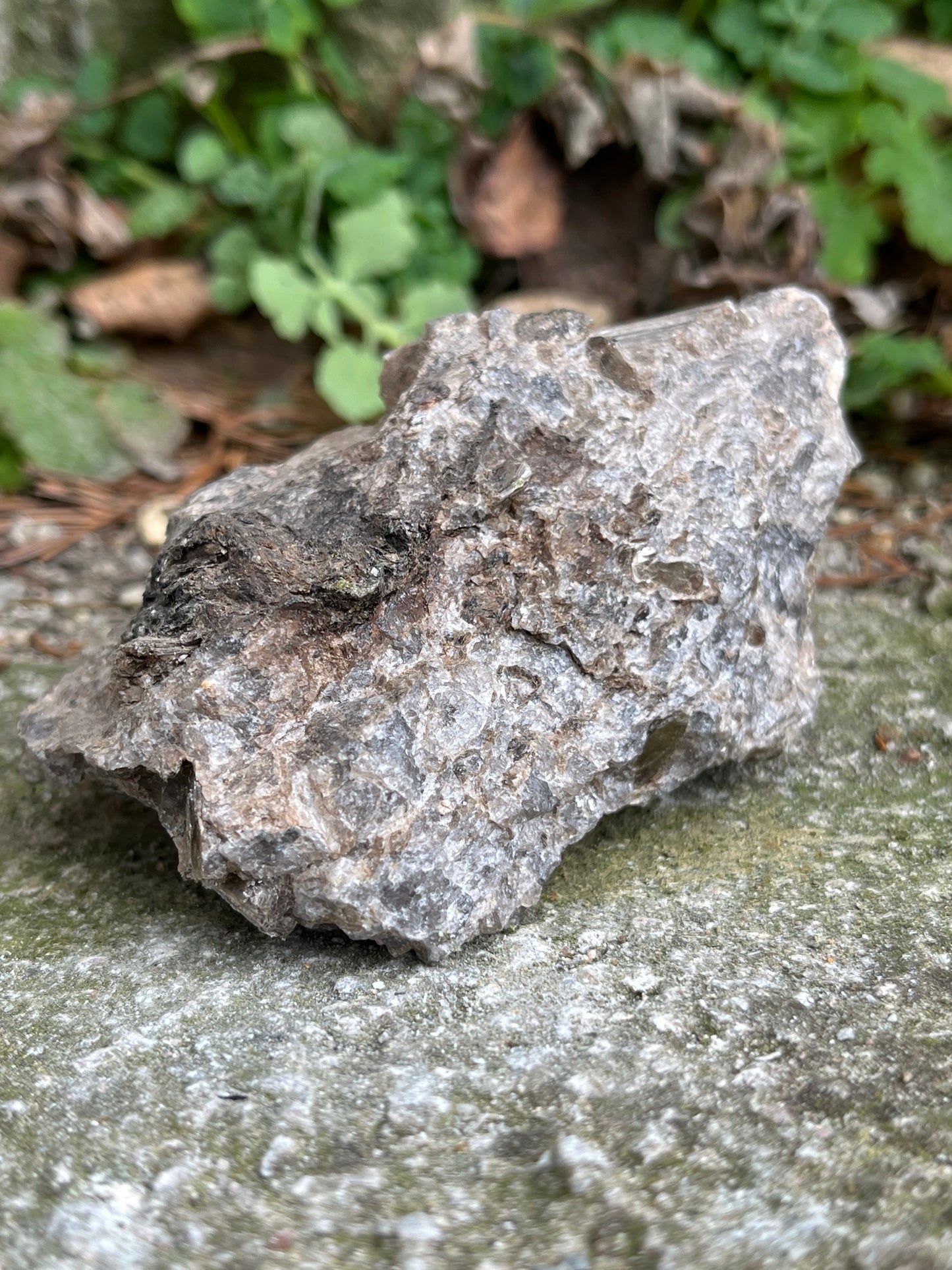Glimmer Csillogás Flogopit