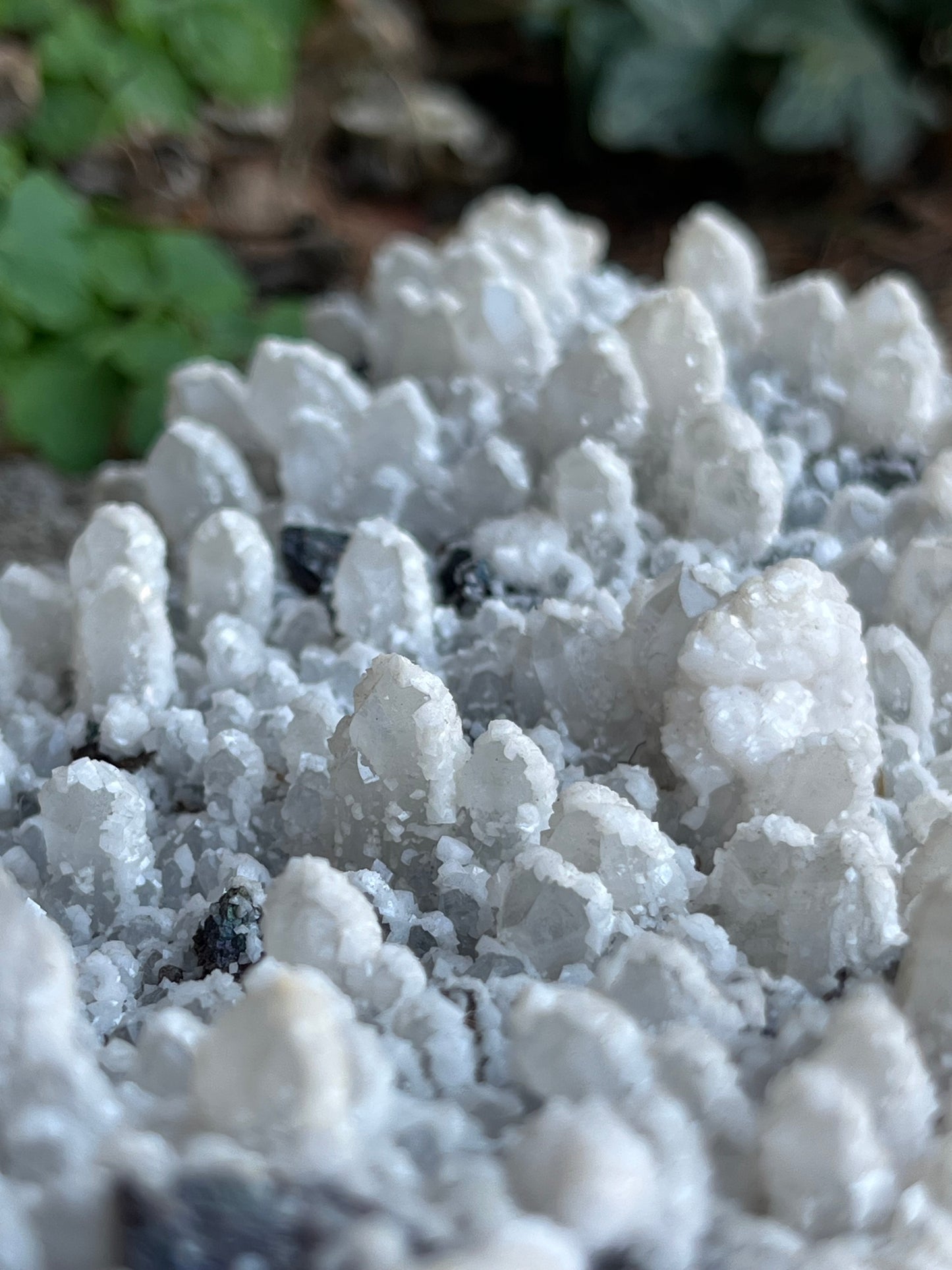 Hegyikristály Csúcsok Fehér Dolomit Galenit Ágyon+Pirit