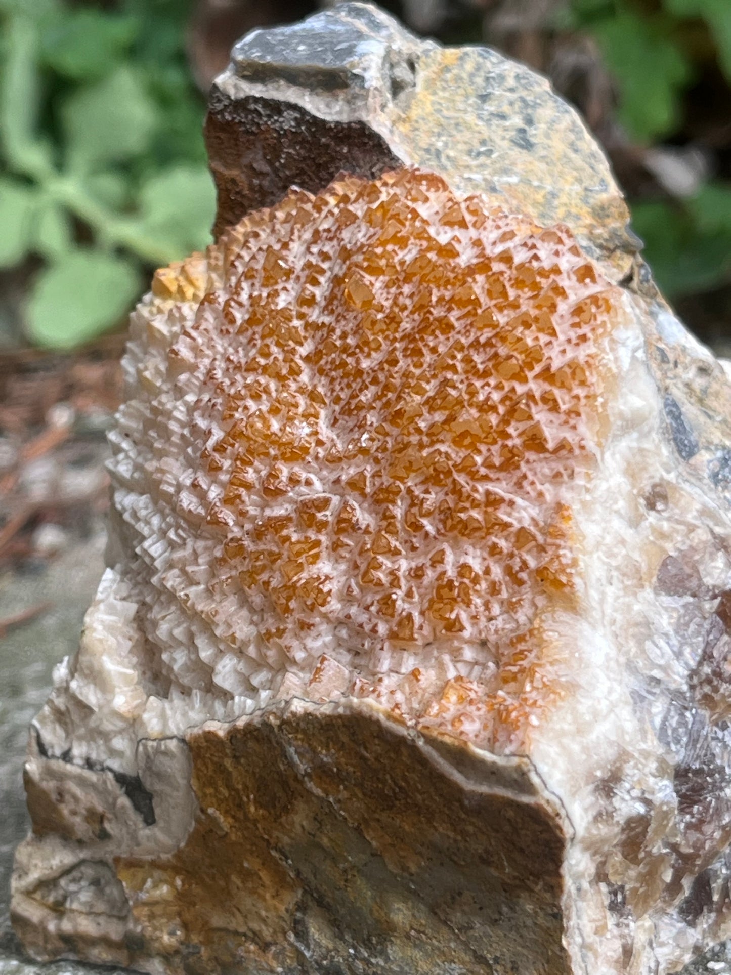 Sárga Dolomit